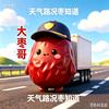 天气路况枣知道头像