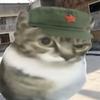 泽风寒.头像