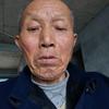 老肖头像