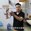 广西阿森头像