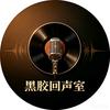 黑胶回声室头像