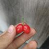 2头像