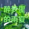 醉梦里的雨夏头像