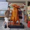 百万起步记得关注头像