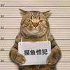 塑精王帅星亚力士华南区总部头像