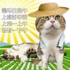 <>头像