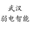 武汉弱电监控wifi影院ktv智能家居头像