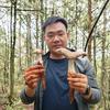 打野大飞哥头像