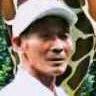 诚实相识头像