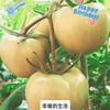 lemon头像