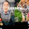 虎神，平安是福头像