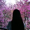 蓝蓝妹纸(青年锅)头像
