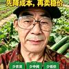 农家直言哥头像