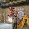 新旦哥Xin Dan Ge头像