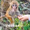 金凯财运头像