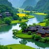 小波头像