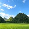 东方瑞头像