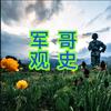 军哥观史头像