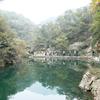 悠悠岁月头像