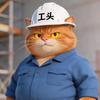 吴二郎的橘猫头像