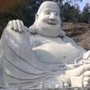 六石追风说剧头像