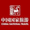 中国国家旅游文创中心头像
