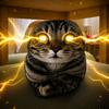 雷霆小猫头像