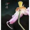 星在蓝天头像