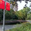 人间正道是沧桑头像