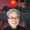 夕阳文兰头像