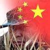 涛哥头像