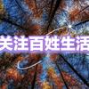 看视川头像
