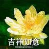 大山里的寨王头像