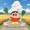 日升只换月落头像
