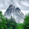 观山.知意头像