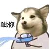 谎king头像