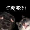 不走心学习之人头像
