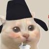 猫mememe小剧场。头像
