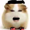 超哥头像