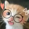 是七瑶呀！(｡>∀<｡)头像
