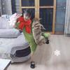 我叫小1  1头像