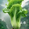 安心☘️🌹头像