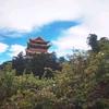 宋振强律师头像