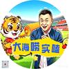 大海唠实磕头像