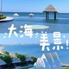 @清闲的海风头像
