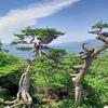 我叫黄土地头像