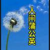 人间蒲公英头像