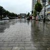 缆汇——寧歌  （收不到私信）头像