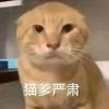 Old华（meme形态）头像