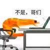 迷枪一只虾头像